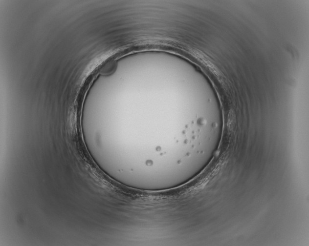 X0000113170877200909181829