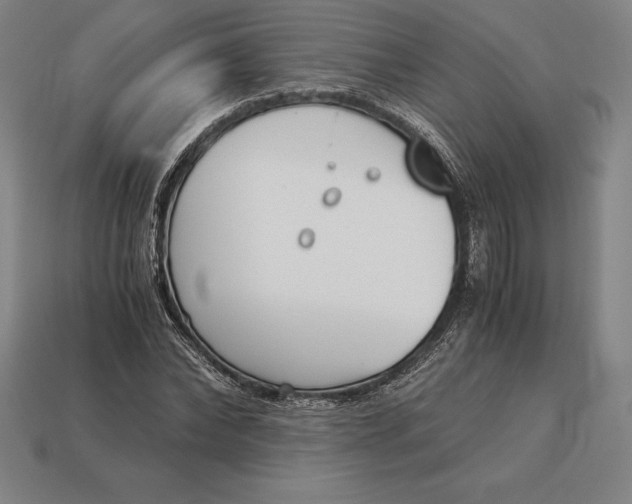 X0000113170878200909181829