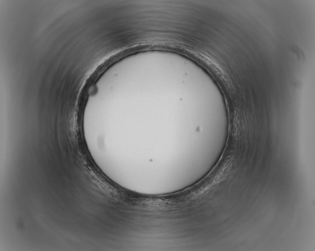 X0000113170880200909181829