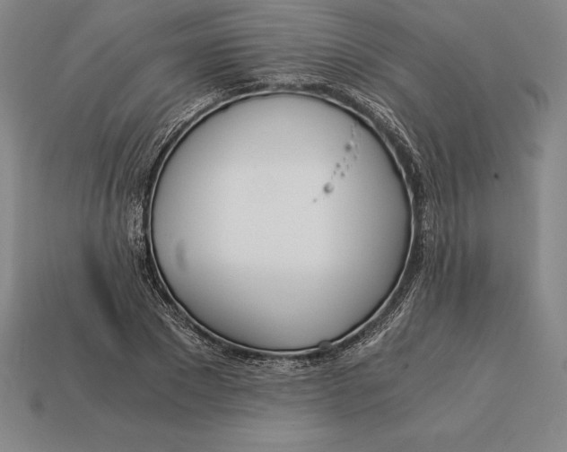 X0000113170881200909181829