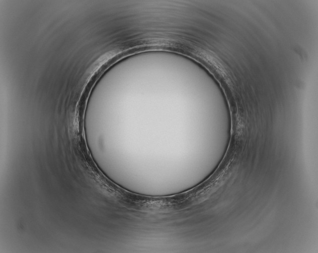 X0000113170883200909181829