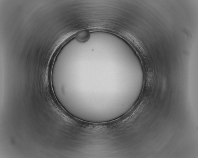 X0000113170884200909181829