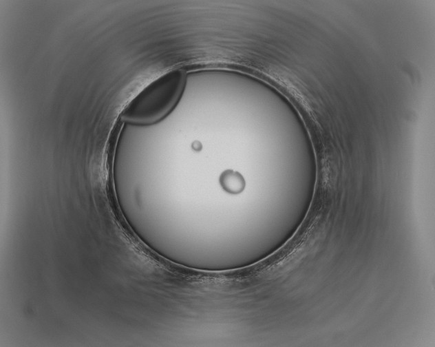 X0000113170885200909181829