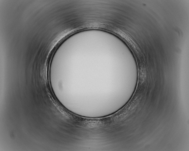 X0000113170886200909181829