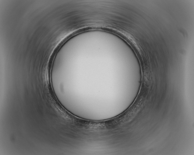 X0000113170887200909181829