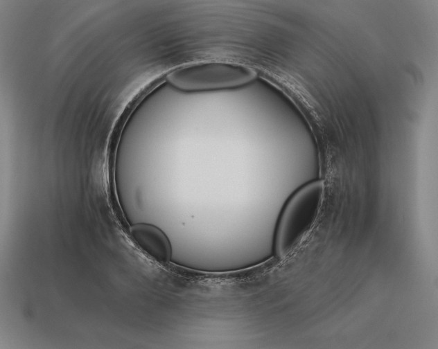 X0000113170888200909181829