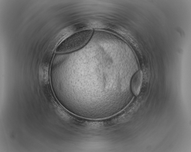 X0000113170889200909181829