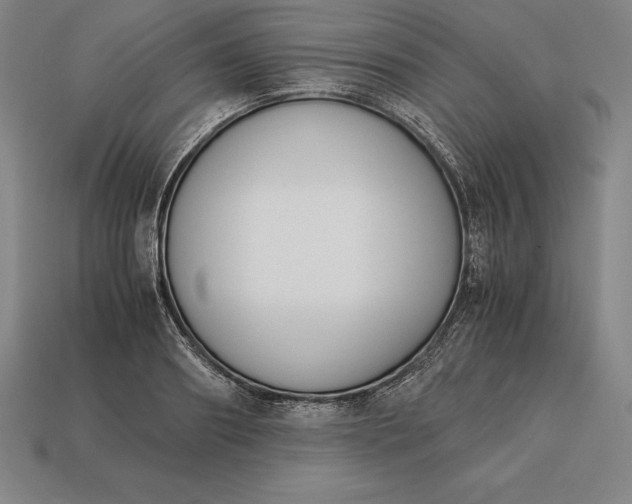 X0000113170890200909181829