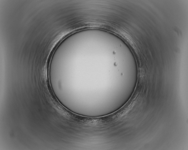 X0000113170891200909181829