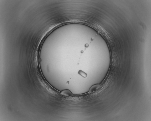 X0000113170892200909181829