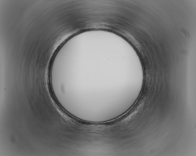 X0000113170893200909181829