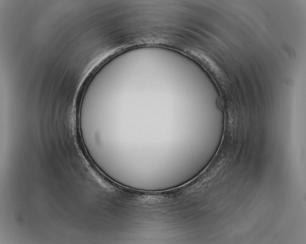 X0000113170894200909181829