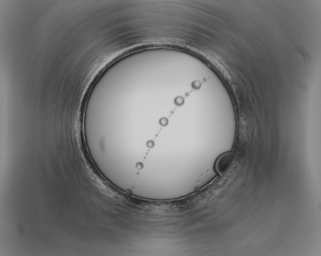 X0000113170895200909181829