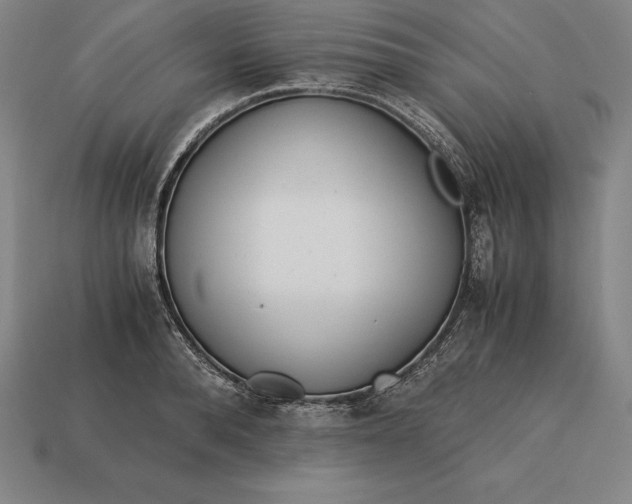 X0000113170896200909181829