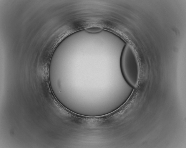 X0000113170897200909181829