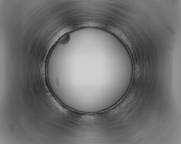 X0000113170898200909181829