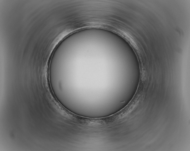 X0000113170899200909181829