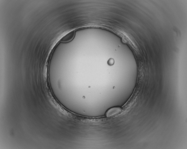 X0000113170900200909181829