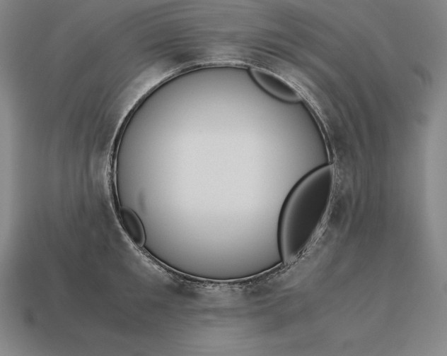 X0000113170901200909181829