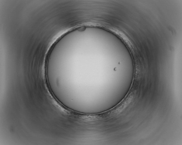 X0000113170902200909181829