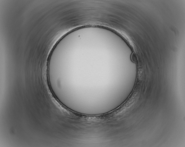 X0000113170903200909181829