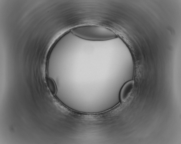 X0000113170904200909181829