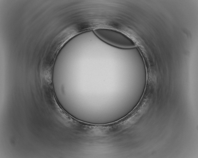 X0000113170905200909181829