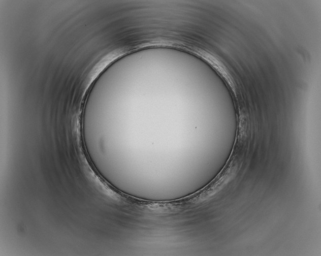 X0000113170906200909181829