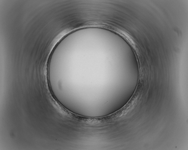 X0000113170907200909181829