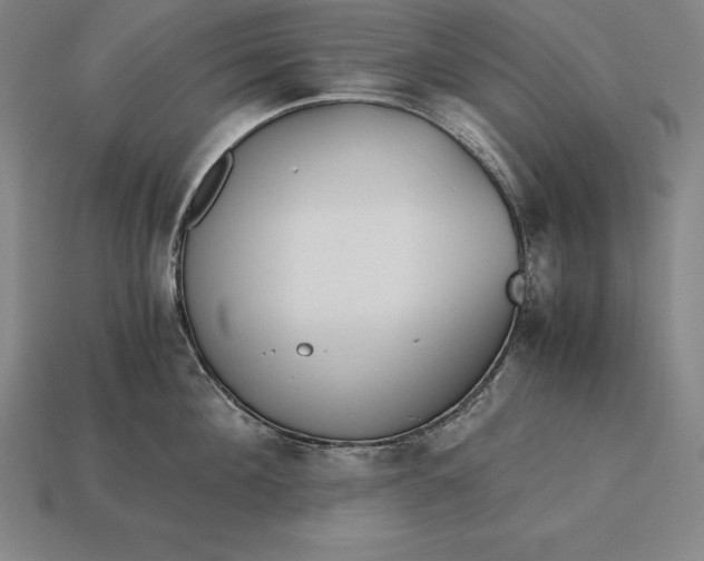 X0000113170908200909181829