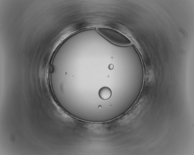 X0000113170909200909181829