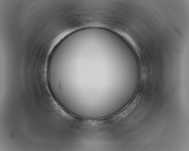 X0000113170910200909181829