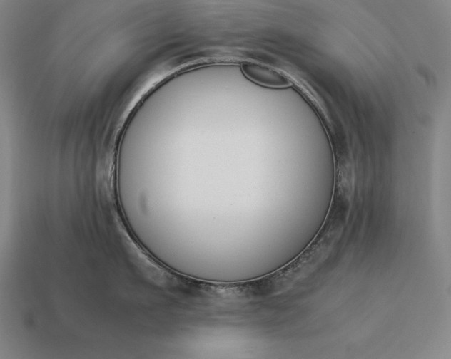 X0000113170911200909181829