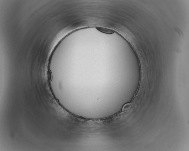 X0000113170912200909181829