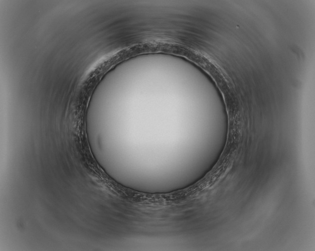 X0000113170919200909181828