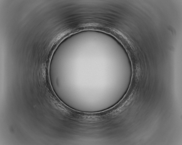 X0000113170921200909181828