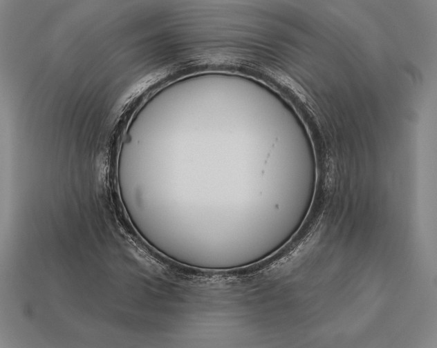 X0000113170922200909181829