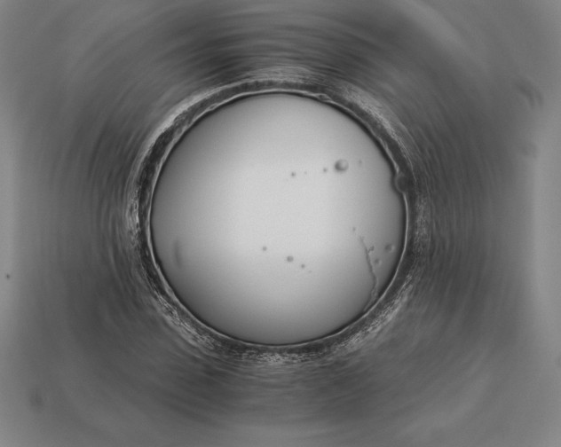 X0000113170923200909181829