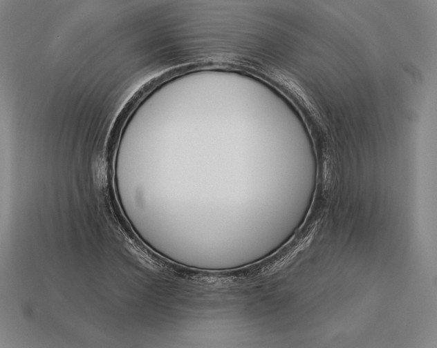 X0000113170924200909181829