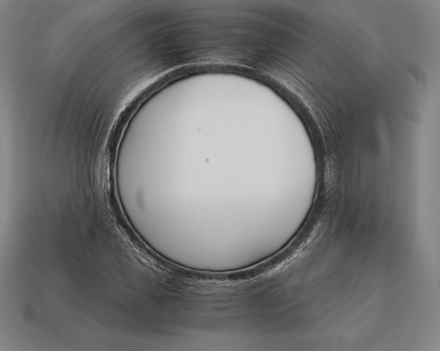 X0000113170925200909181829