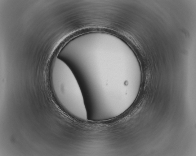 X0000113170926200909181829