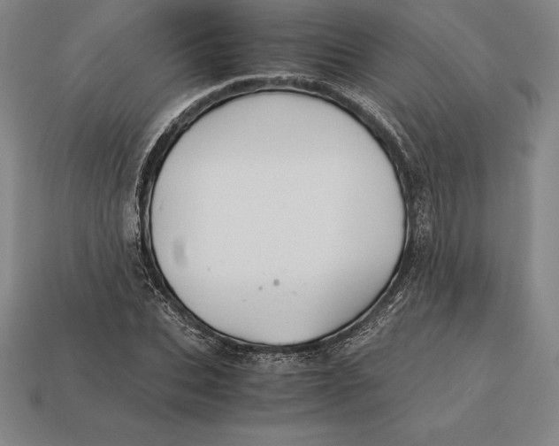 X0000113170927200909181829