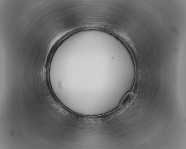 X0000113170928200909181829