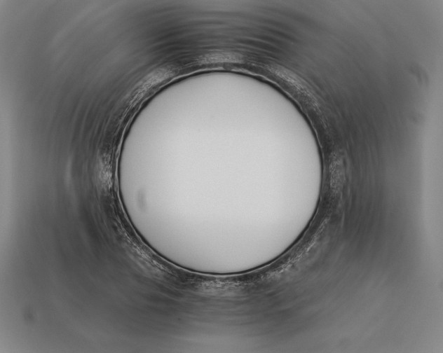 X0000113170929200909181829