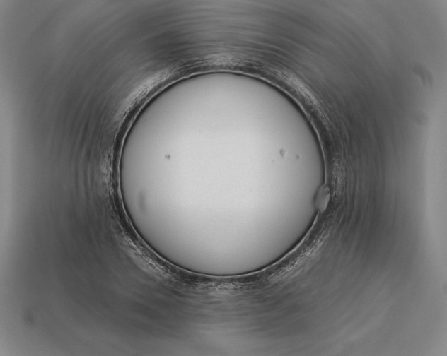 X0000113170930200909181829