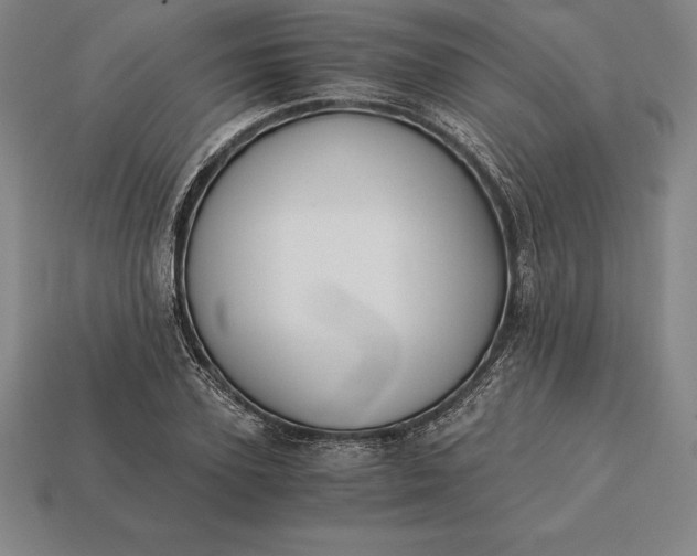 X0000113170931200909181829