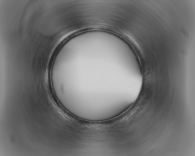 X0000113170932200909181829