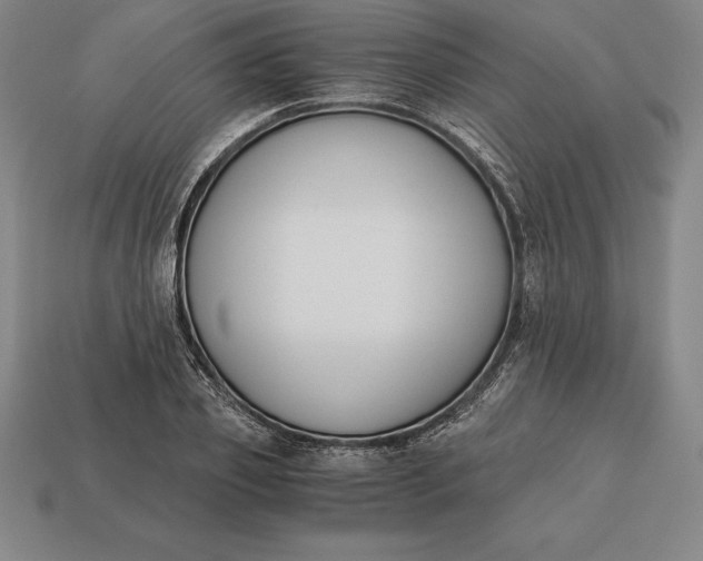 X0000113170933200909181829