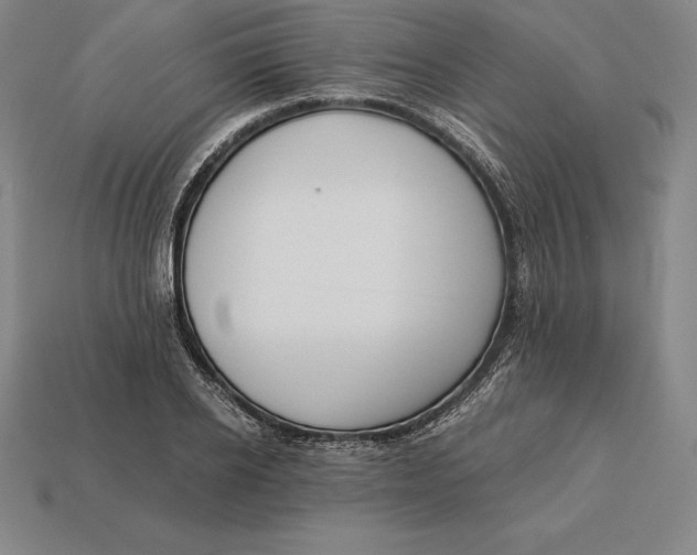 X0000113170934200909181829