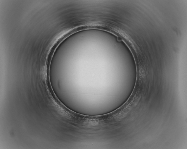 X0000113170935200909181829